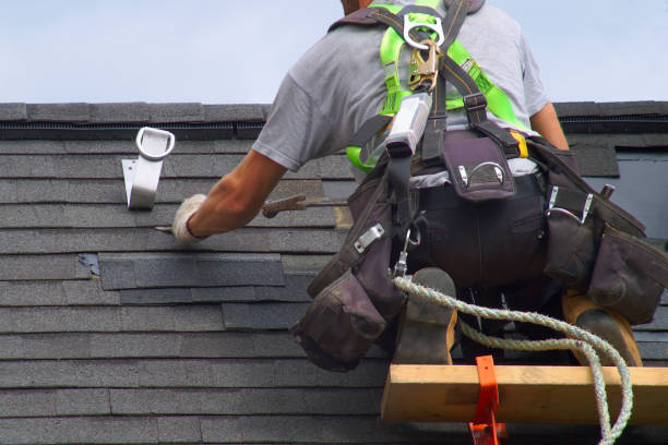 Best Shingle Roofing Installation  in Newport, WA